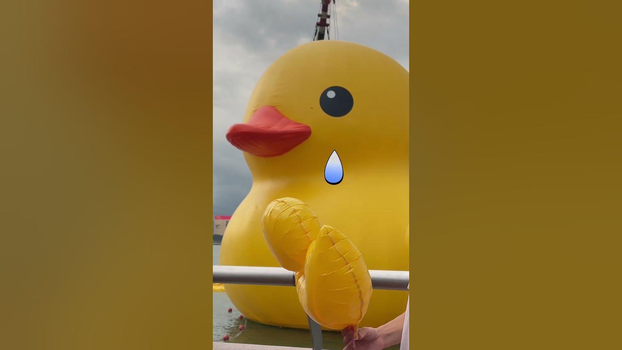 1 $ Or Duck? #shorts