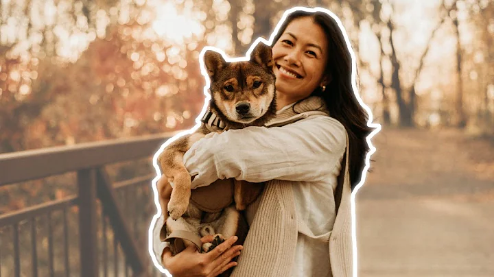 getting a SHIBA INU? 🐕⚠️ 5 things you NEED TO KNOW! ⚠️