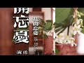 嫣然 | 花開忘憂 - 周深 | 這是給 你的花花的名字叫忘憂草 | Chinese instrument Music玉面小嫣然