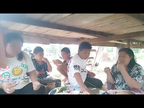 ซื้อไก่ตุ๋นกับส้มตำมาสู่ย่าน้องบอลกินและเพื่อนๆน้องบอลจ้า