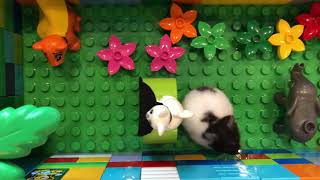 Hamster’s Lego Play Yard