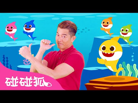 [第二版] 郭富城天王版 Baby Shark🦈 | Aaron Kwok Dancing to Baby Shark | 鲨鱼宝宝｜鲨鱼一家｜碰碰狐Pinkfong