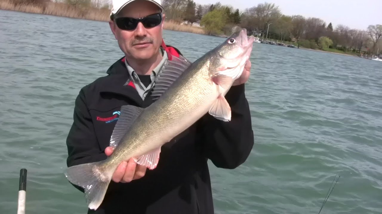 How To Jig For Walleye Jigging For Freshwater Walleye On The Detroit how-to-jig-for-walleye-jigging-for-freshwater-walleye-on-the-detroit