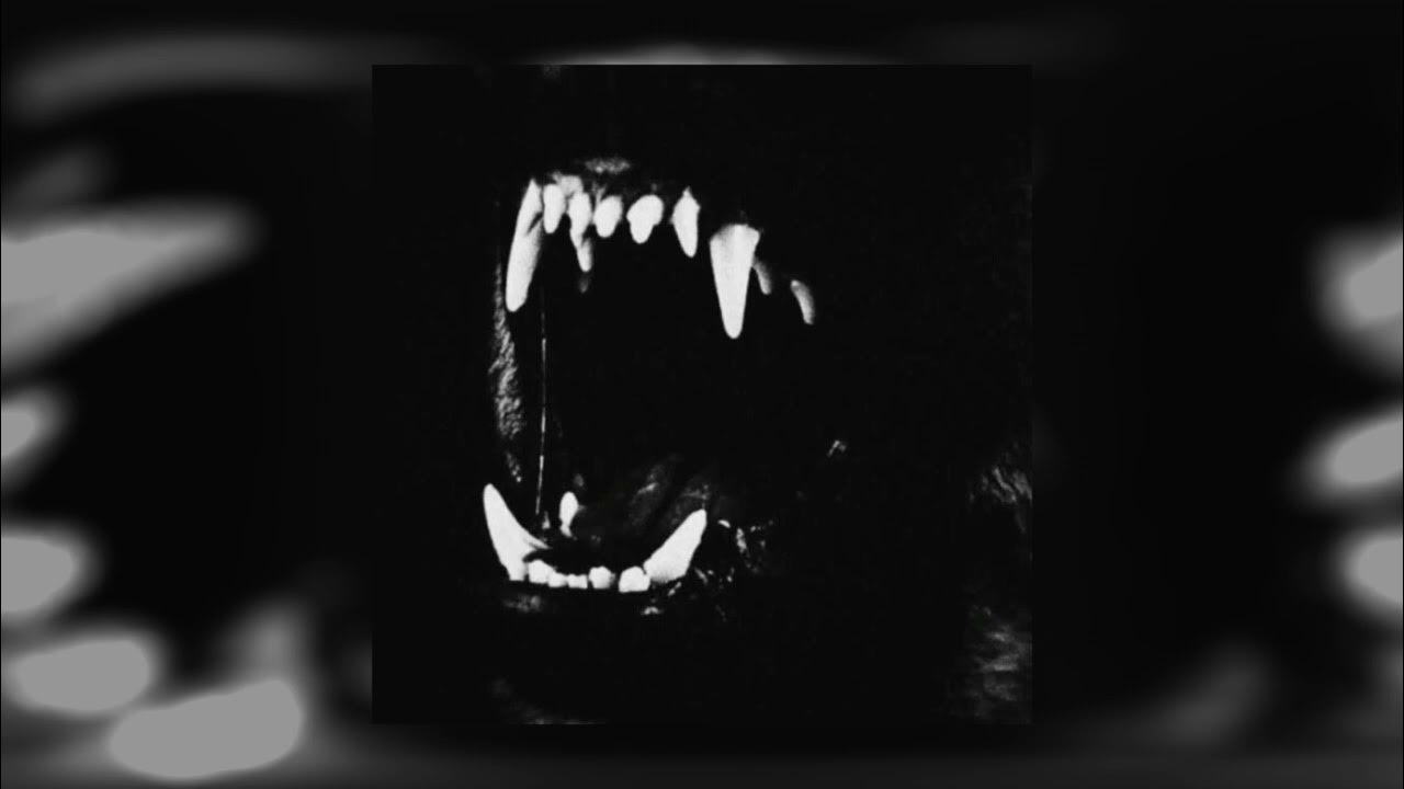 Wels - PULL UP Wels - PULL UP