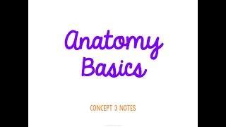 Unit 1 Intro to Anatomy Concept 3 Notes