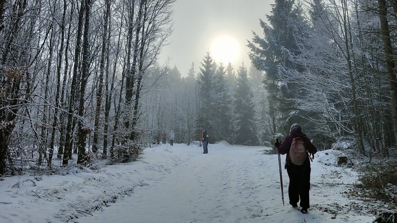Rando-neige au Champ du Feu 🥾 (Bellefosse, Alsace)