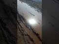 حسبنا الله ونعم الوكيل خط ضبوة صنعاء حسبنا الله ونعم الوكيل خط ضبوة صنعاء