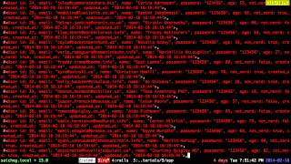 8. Active Record. CRUD objects. ( in Russian language )