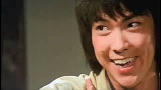 Yuen Biao Does Choy Lay Fut Kung-Fu