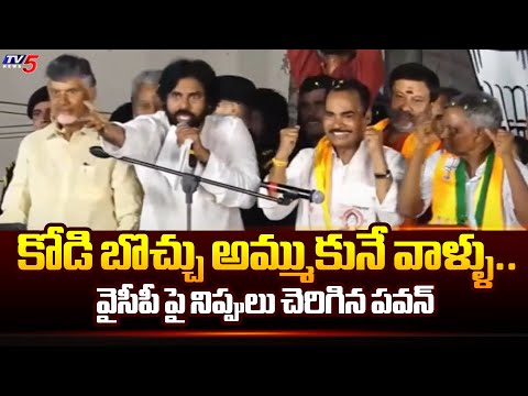 కోడి బొచ్చు అమ్ముకునే వాళ్ళు.. Janasena Chief Pavan Kalyan Fires On AP YCP | AP Elections | TV5 News - TV5NEWS