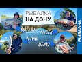 Где ещё половишь ТАКУЮ рыбу? Никакого ЛЕЩА не нужно!