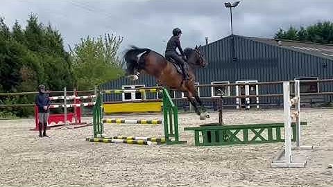 250318b ATTITUDE vd BROEKKANT