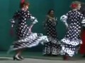 Фиеста Фламенко ( Кирилл Потылицын и Звёзды Испанского танца Фламенко )