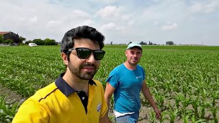 Michele 300Ha Di Sfide E Sacrifici