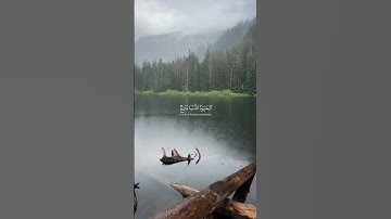 كيف يكون الخشوع الحقيقي؟ اسمع المنشاوي وأخبرنا شعورك! #تلاوة_خاشعة #اكسبلور #قرآن