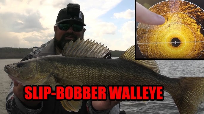 Slip-bobber walleyes - Major League Fishing