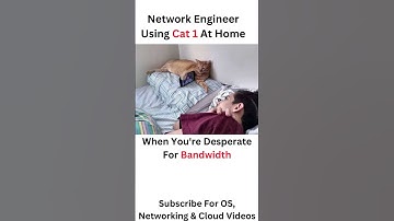 😂😸 Cat-1: Network Engineer