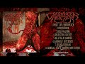 Coathanger abortion  plan c full album stream 2022 brutal death metal