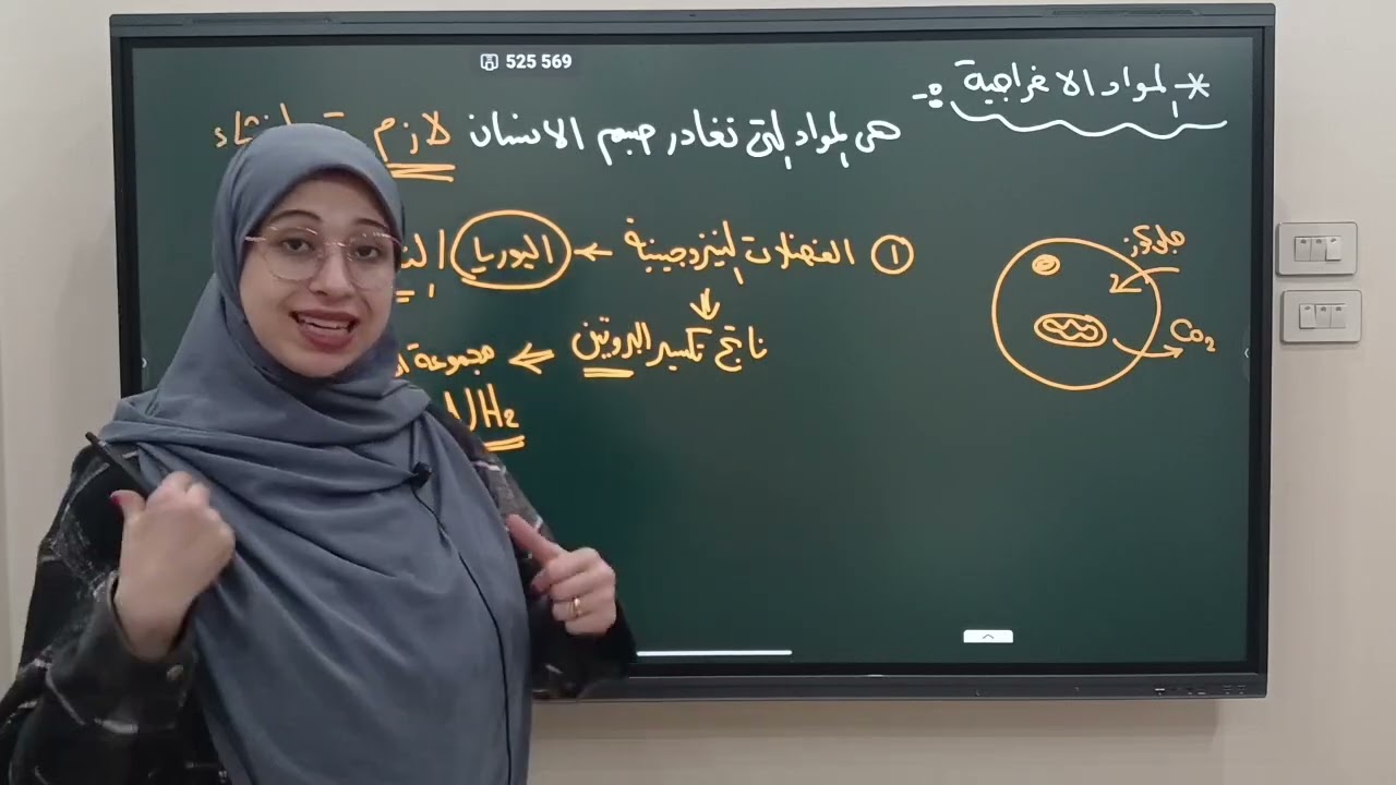 أحياء تانية ثانوي أزهر || المحاضرة 1 شرح الدرس الأول كاملا (الاخراج في الانسان 