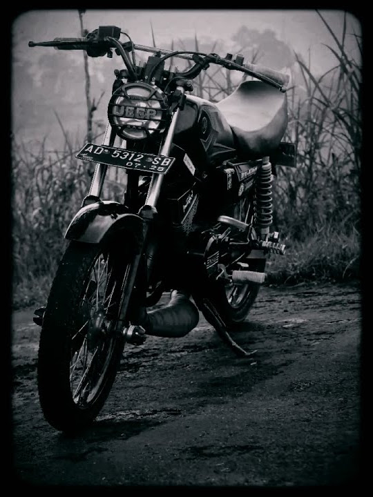 Story wa rx king
