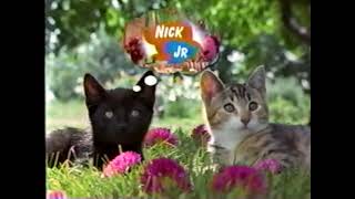 Nick Jr (1998) Bumper - Nickelodeon - Cats - Eurekas Castle