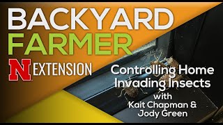 How to Stop Fall Invading Insects from Getting Inside Your Home Beware Of Fall Pests Too