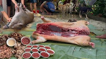 Lợn Rừng 7 Món, Tiết Canh Lợn Rừng Và Món Thịt Nôm Nâu Ngon Tuyệt Đỉnh - Nhịp Sống Tây Bắc