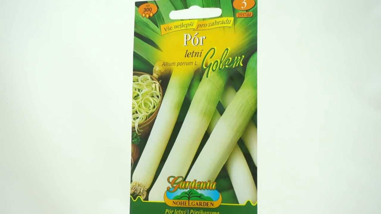 Pór letní Golem