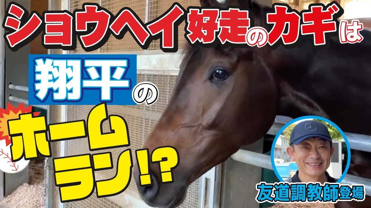 日本ダービー2025】カムニャックで先週のオークスを優勝！勢いに乗る友
