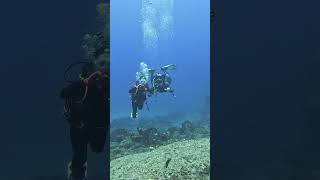 A ship, a dragging anchor, three severed cables. Sabotage or accident? #Shorts #BalticSentry