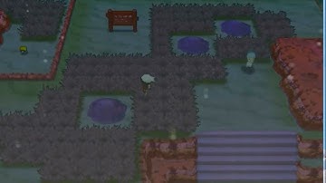 Pokemon Omega Ruby: Part 13! Fallarbor Town!