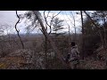 Winching a fallen tree off a cliff