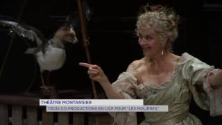 Théâtre : trois co-productions en lice pour « Les Molières »