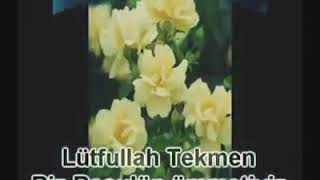 Güller Allah deyu açar
