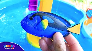 Water Table Play with Sea Animals Toys and Learn Different Types of Sea Animal Names and Videos.