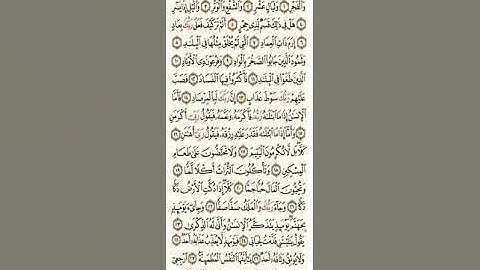 القارئ هيثم الدخين _ سورة الفجر(٨٩)