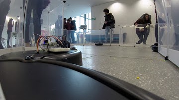 A Day in the Robotic Petting Zoo