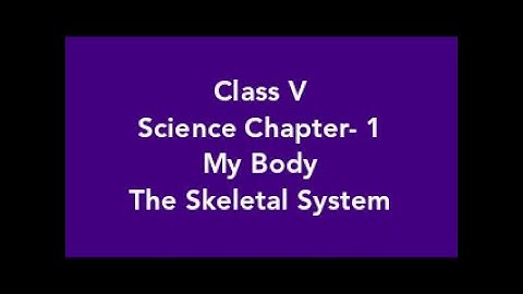 Well Explained ll The skeletal system, Chapter 1 My body, Class 5 DAV science