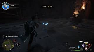 Hogwarts Legacy BUG -  Glacio + Spider. Battle Arena