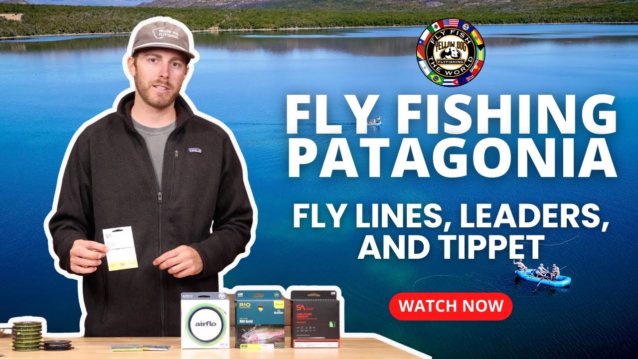 Fly Lines, Leaders, and Tippet Selections for Fly Fishing in