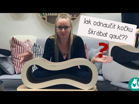 Video: Jak Si Vybrat škrabadlo Pro Kočku