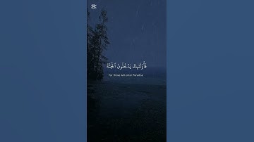 القارئ وديع اليمني   ((فخلف من بعدهم خلف اضاعوا الصلاة و اتبعوا الشهوات فسوف يلقون غيا)) راحة❤️نفسية