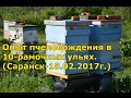 Опыт пчеловождения в 10-рамочных ульях. (Саранск-18.02.2017г.)