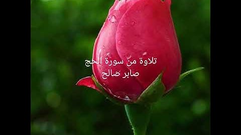 تلاوة من سورة الحج صابر صالح