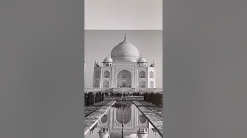 How to turn a reference photo into a line drawing in procreate for beginners