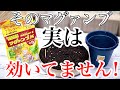 【大丈夫?】大人気肥料 マグァンプはこう使わないと効きません【元肥・追肥】