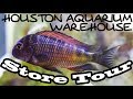 Houston Aquarium Warehouse Store Tour 7/29/17 Houston Aquarium Warehouse Store Tour 7/29/17