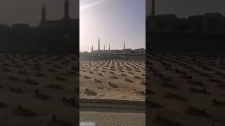 اللهم ارحم موتى المسلمين والمسلمات اجمعين في كل مكان ..