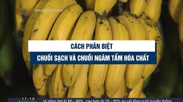Cách phân biệt chuối sạch và chuối ngâm tẩm hóa chất