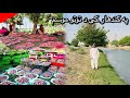 Mulberries Season Started In Kandahar Afghanistan په کندهار کی دتوتو موسم شروع سو Mulberries Season Started In Kandahar Afghanistan په کندهار کی دتوتو موسم شروع سو